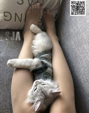 一级片永久免费在线观看_DVD免费在线观看