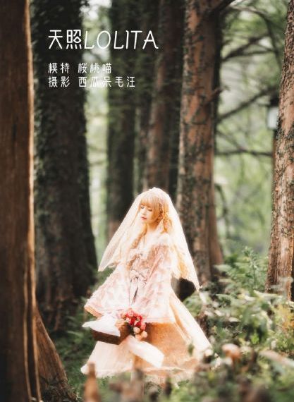 身体丰满的寡妇中文字幕_1080手机免费观看完整